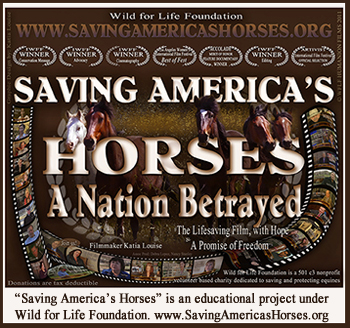 Saving America's Horses Film Strip BNR